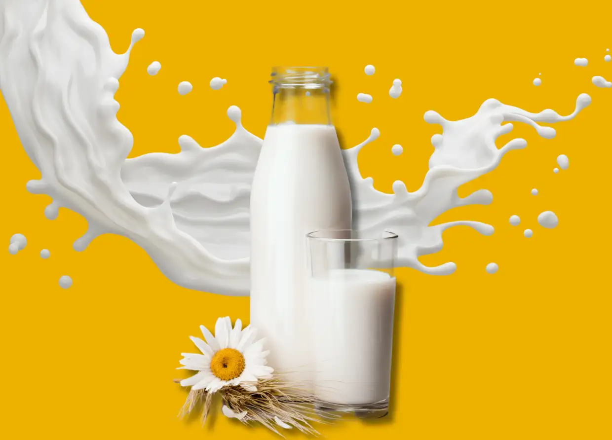 WHOLE MILK, LOW-FAT, OR NO DAIRY AT ALL? THE TRUTH ABOUT WHAT’S REALLY HEALTHY