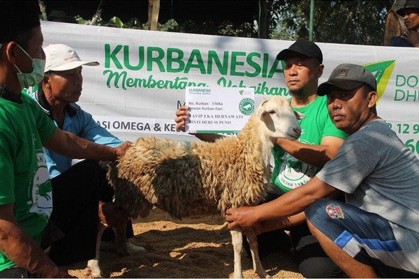 JAVATEKNO MITRA SOLUSI - Gandeng Lembaga Resmi, 5 Platform ini Sediakan Layanan Qurban Digital