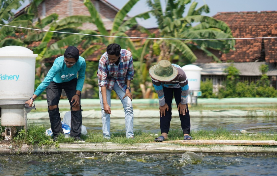 JAVATEKNO - eFishery PHK Karyawan, Beri Dukungan Penuh