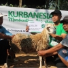 JAVATEKNO - Gandeng Lembaga Resmi, 5 Platform ini Sediakan Layanan Qurban Digital